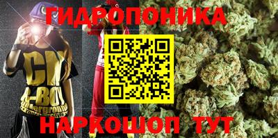 spice Кулебаки