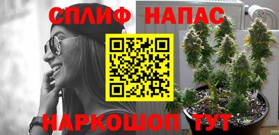 молекула духа Кумертау