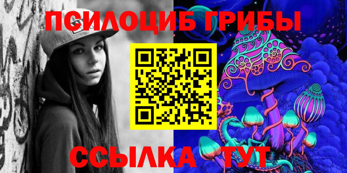 купить наркотики сайты  Галлюциногенные грибы Psilocybe  Вход с VPN  Псилоцибиновые грибы MAGIC MUSHROOMS  Йошкар-Ола 
