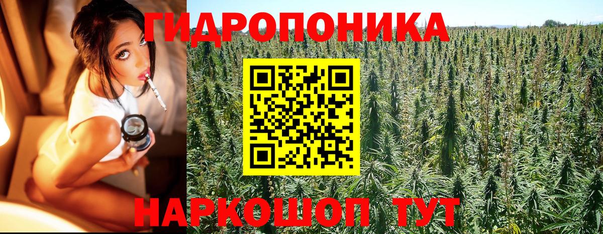 Конопля семена  Вход с VPN  Марихуана LSD WEED  Шишки марихуана OG Kush  Йошкар-Ола  Канабис индика 